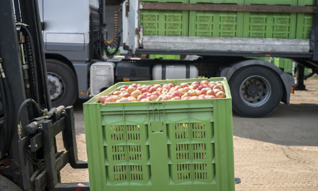 REFRIGERATED (FRIGO) TRANSPORTATION